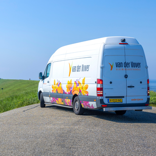Groei, verbetering en meer groei