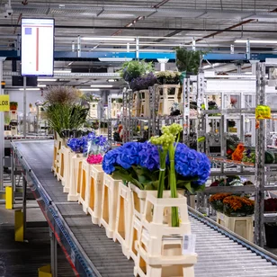 EVO-it en Florisoft, partners in software-ontwikkeling